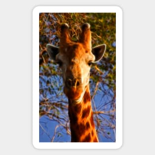 Kruger Giraffe Sticker